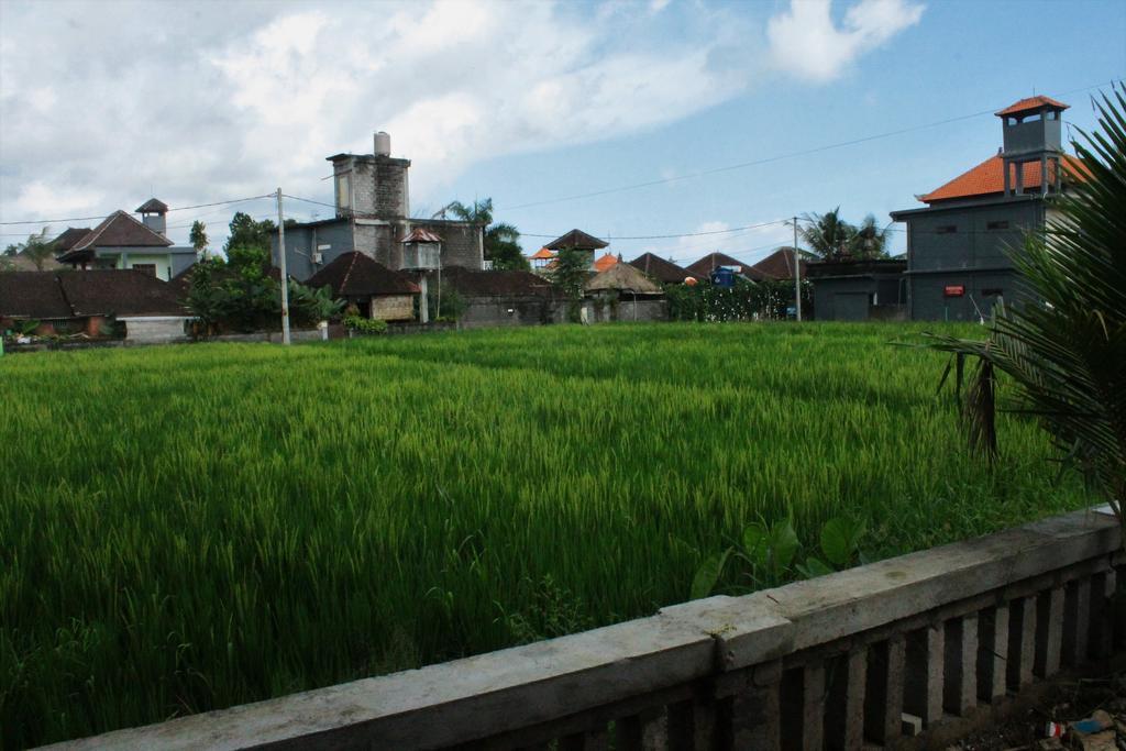 Cenik House Ubud Exterior photo